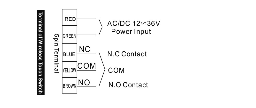 definition of input and output